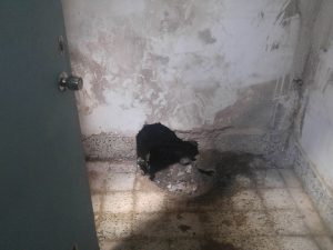 طيران التحالف يدمر بنك الدم في مستشفى بصنعاء الخبر اليمني