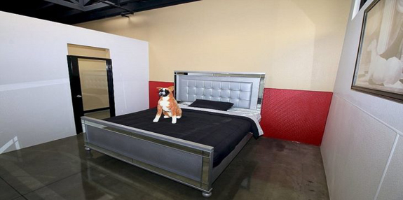 بالصور فندق 5 نجوم للكلأب فقط !!